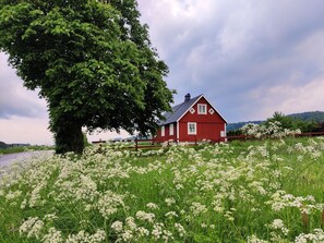 Une grange rouge, avec un grand arbre au premier plan et un champ de fleurs blanches.