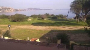 Vista de una zona costera con un campo cubierto de hierba, árboles y una masa de agua al fondo.
