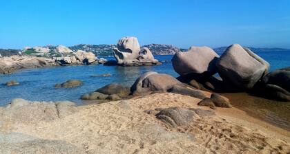 Waterfront house with terrace and garden 50m from the sea