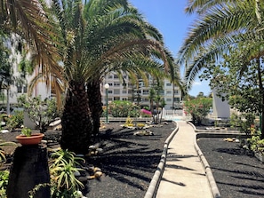 Jardines del alojamiento
