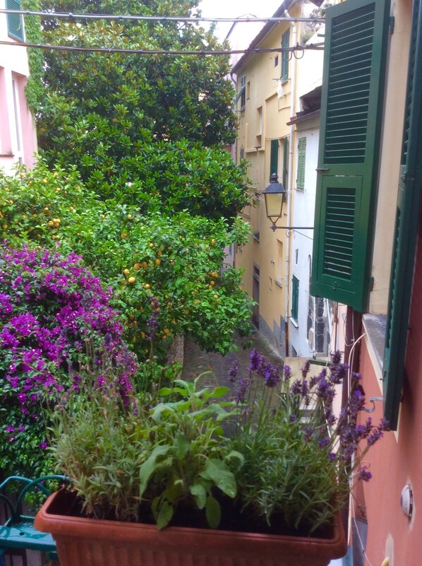 A narrow alleyway with a balcony overlooking a lush garden with various plants and flowers.