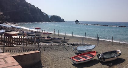 Monterosso al Mare Studio - Old Town - Cod. CITRA 011019-LT-0270