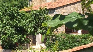 A stone building with a tiled roof, surrounded by greenery and trees. - Nice house with view (Vero)