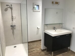 Shower, towels, toilet paper