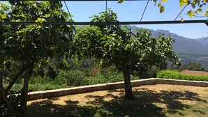 A garden with trees, a stone wall, and a view of mountains. - Nice house with view (Vero)