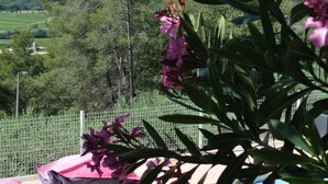 Zona de piscina con flores rosadas en primer plano, cielo azul despejado y vistas a árboles y montañas al fondo.