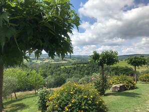 A lush landscape with a variety of trees and flowering bushes. - Country House Nazzano in Vineyards/ near San Gimignano Florence Siena - Ro (Gambassi Terme)