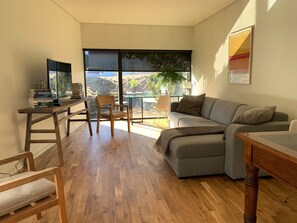 Smart TV, DVD player, books, video library