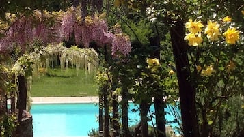 A heated pool, sun loungers