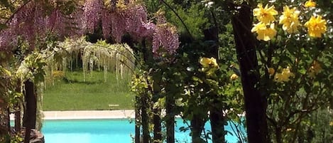 Beheizter Pool, Liegestühle