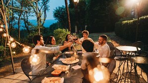 A group of people toasting at an outdoor table with a view of the sea, surrounded by greenery.