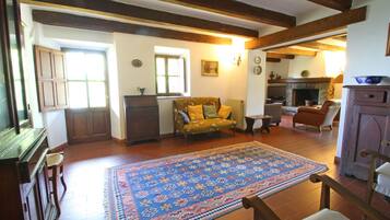 TV, fireplace, DVD player