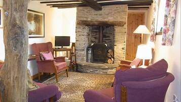 Smart-tv, eldstad och dvd-spelare