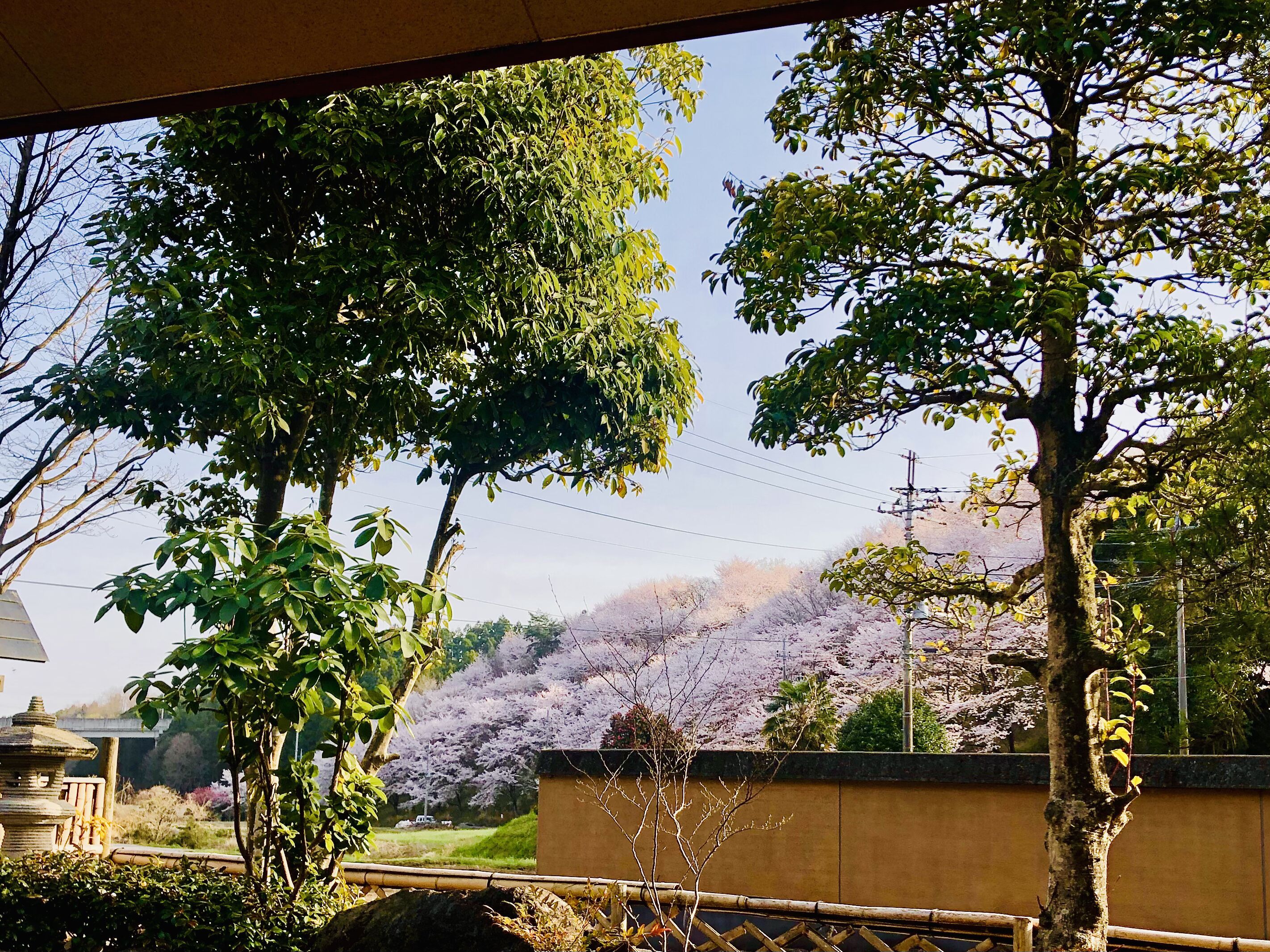 Family Room, Private Bathroom | View from room