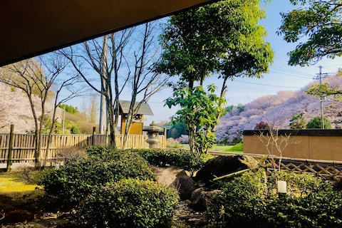 瀧澤禅寺(写真 2)