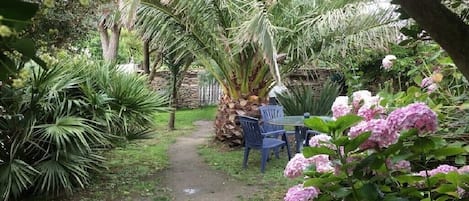 En trädgårdstig med ett palmträd, en stenmur och ett bord med stolar.
