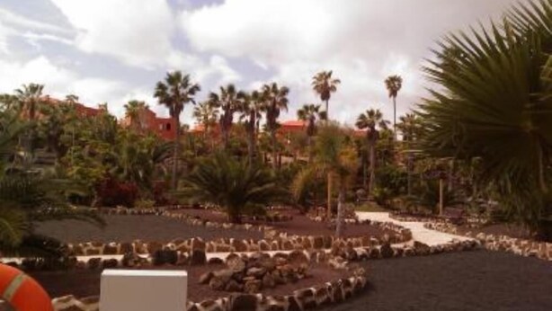 A landscaped area with palm trees and a rocky path. - Apartment/ flat - Corralejo (Corralejo)