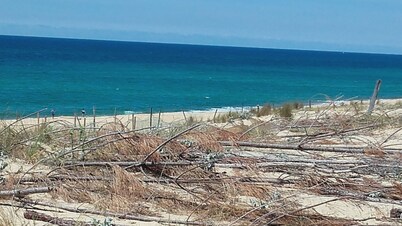 Res. Standing 2 swimming pools, 350 m beach Moliets, apt 6 pers, 2 ch, garden level