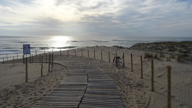 A wooden boardwalk leading to a beach with a bicycle parked by the fence. - House / Villa - Lège-Cap-Ferret (Lège-Cap-Ferret)