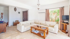 Smart TV, fireplace, DVD player, books