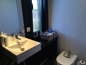 Combined shower/tub, hair dryer, bidet, towels