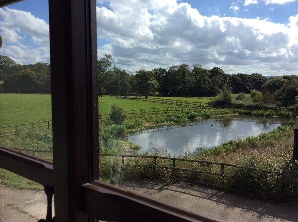 A view of a pond with a wooden fence and trees in the background. - BEAUTIFUL FARM STAY AT THE SADDLERY CHESHIRE (Congleton)