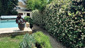A pool with a potted plant, a hedge, and a building in the background.