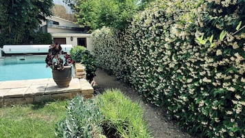 Une piscine avec une plante en pot, une haie et un bâtiment en arrière-plan.