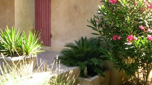 A garden with various plants and a red door.