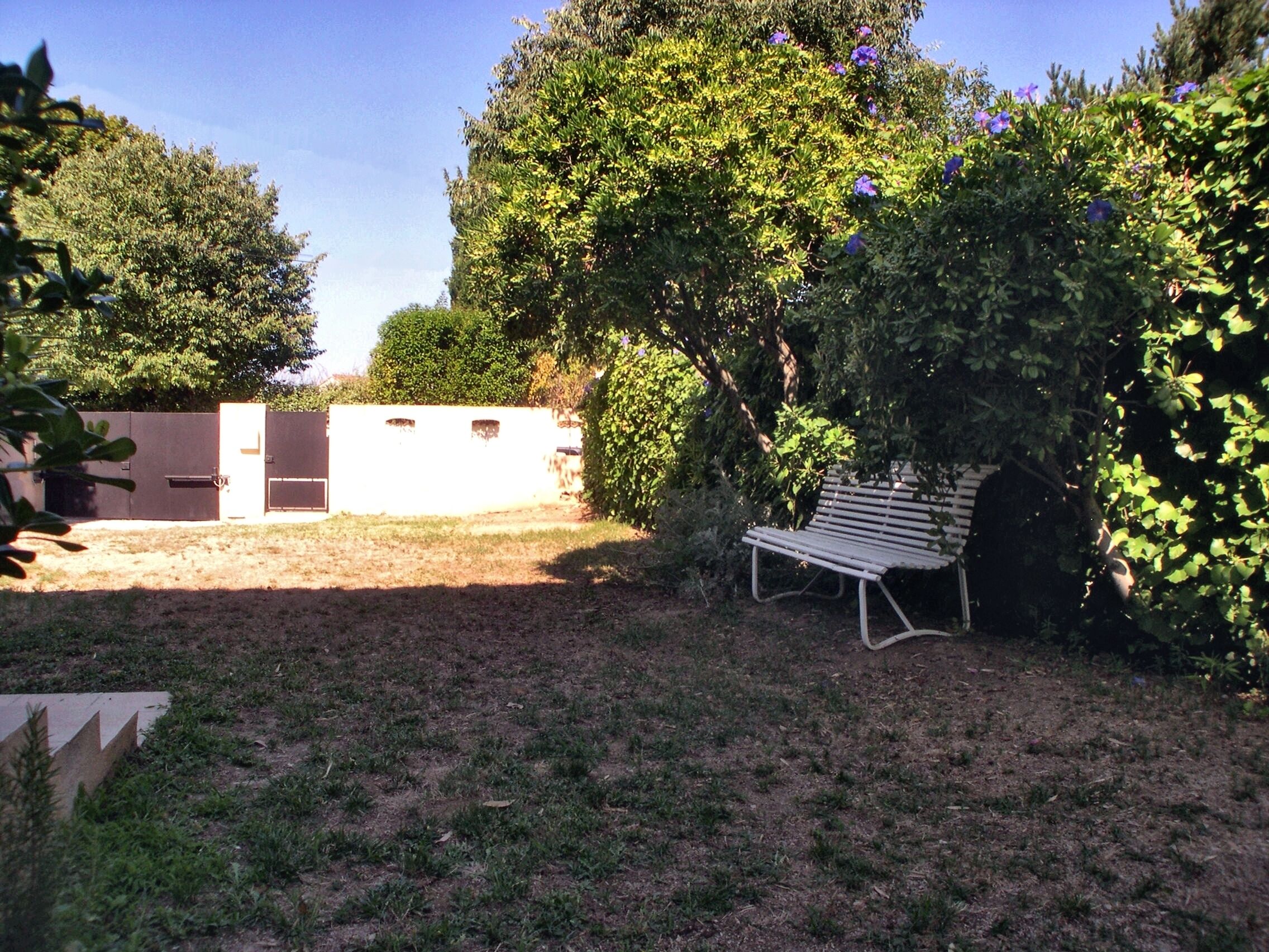 A garden area with a bench, a white wall, and a tree with purple flowers.