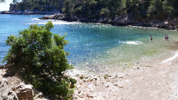 A beach with clear water, rocky shore, and a forested hill in the background.