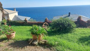 A coastal garden with potted plants, a windmill, and a view of the sea. - Beautiful house on the sea 300 m from the beach (Brando)