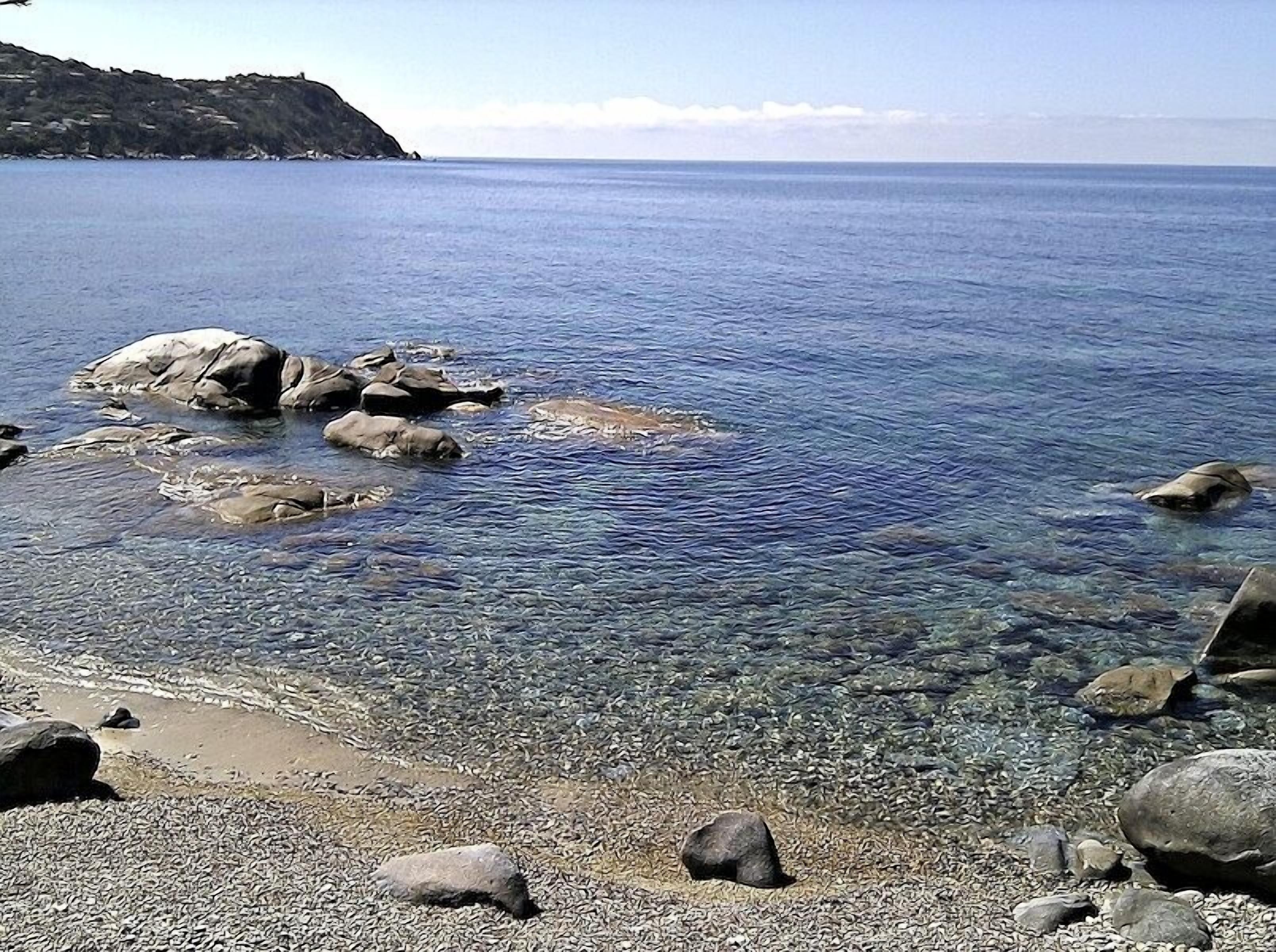 ビーチ、ビーチタオル