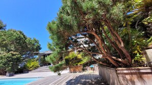 A wooden deck with a pool, surrounded by various trees and plants. - Charming villa with heated swimming pool between pool and ocean at Cap Ferret (Lège-Cap-Ferret)