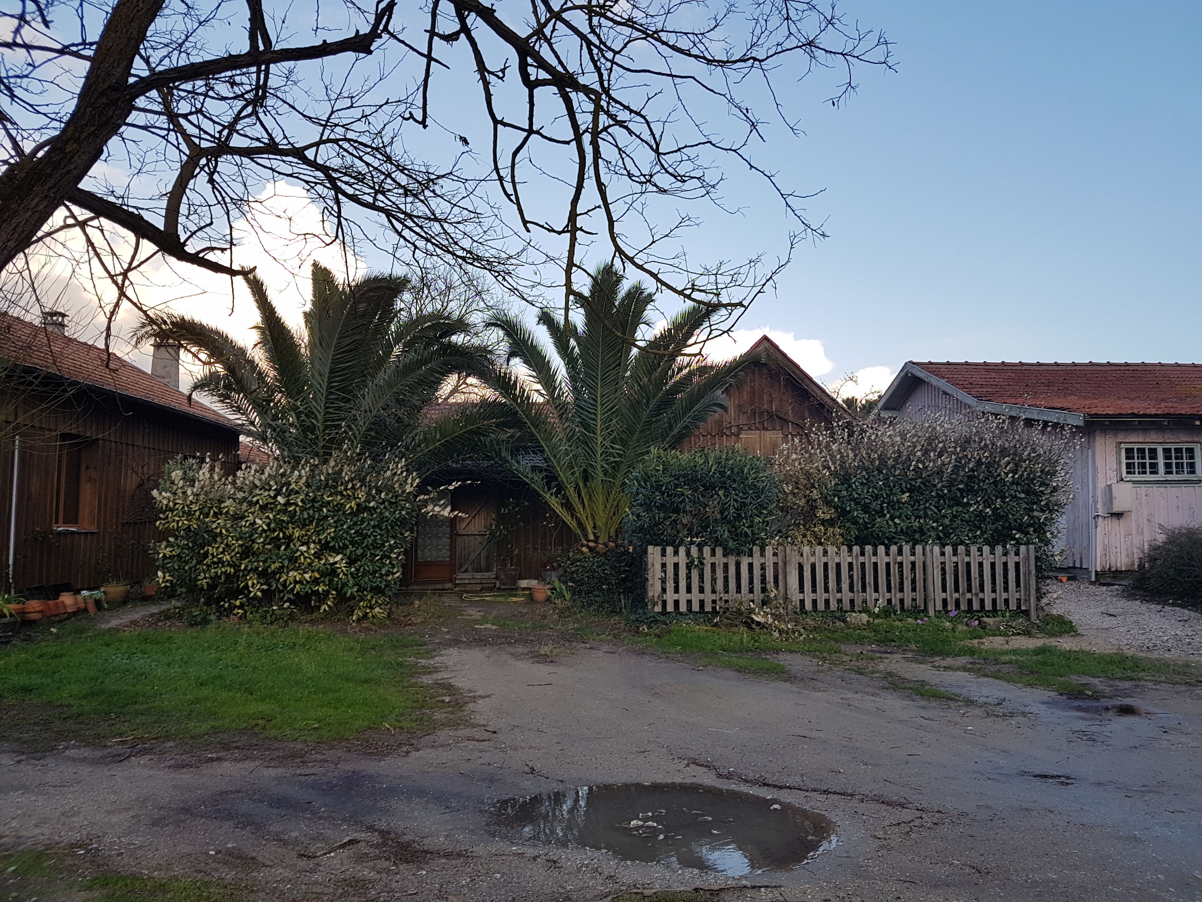 Un entorno rural con un camino de tierra que lleva a una casa de madera con techo de paja.
