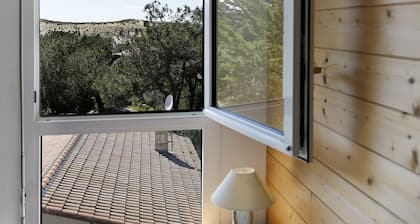 Nice little house, in Cap Ferret, at the foot of the ocean beach, view of the dunes