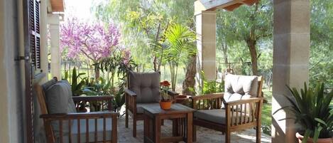 Terraza o patio