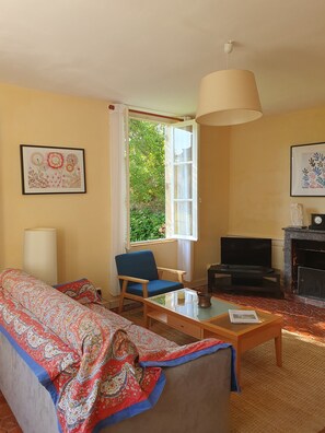 TV, fireplace, books