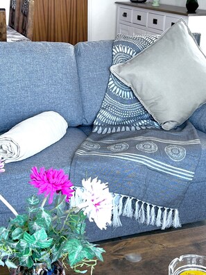 تلفزيون ذ كي