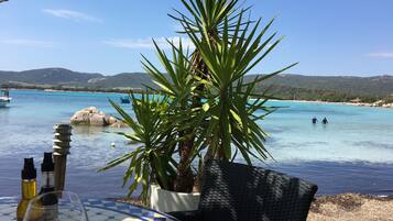 Une table avec des bouteilles de vin et un verre, une plante en pot, et une vue sur une mer bleue et limpide, avec des bateaux et des personnes en arrière-plan.