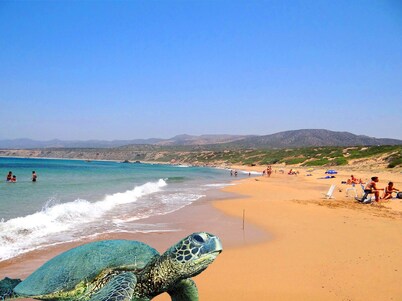 House with stunning views, quiet location, bedrooms en suite, pool, parking.