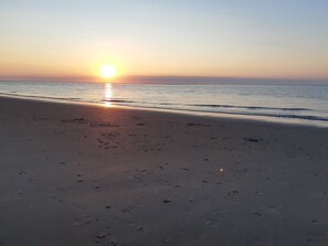 On the beach, sun-loungers - Renesse Zeeland: Modern 4 person Chalet by the sea.  Modernes Chalet am Meer. (Renesse)