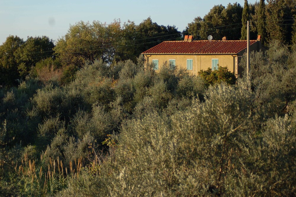Podere Piaggette Segalari, Apartment Sea Side