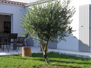 A small tree in a planter, a patio area with a table and chairs, and a white building with a door and window.