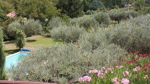 A pool surrounded by dense shrubbery and trees, with a view of distant hills.