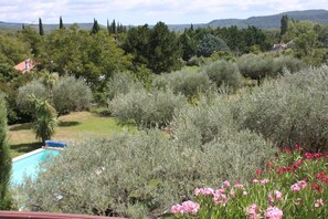 Property grounds - Villa in a big property with private swimming pool in the heart of the Provence (Salernes)