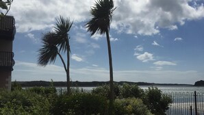 A view of a beach with palm trees and a body of water in the background.