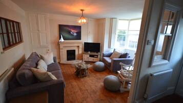 TV connectée, cheminée, jeux vidéo, lecteur de DVD