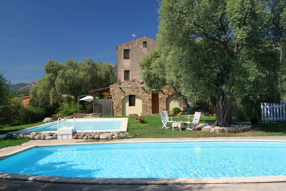apartment in house of character, calm swimming pool of nature, 5min from Calvi
