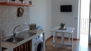 A compact kitchen with a washing machine, a sink, and a small table with a plant. - German house at the Borgo (Badolato)